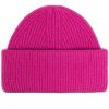 Pashmina Cashmere Knitted Beanie